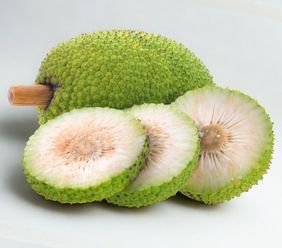 Jackfruit